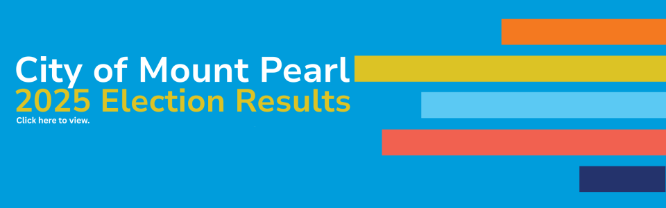 election results